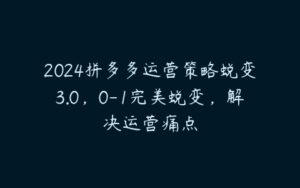 2024拼多多运营策略蜕变3.0，0-1完美蜕变，解决运营痛点-51自学联盟