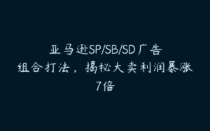 亚马逊SP/SB/SD广告组合打法，揭秘大卖利润暴涨7倍-51自学联盟