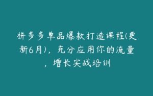 拼多多单品爆款打造课程(更新6月)，充分应用你的流量，增长实战培训-51自学联盟