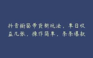 抖音橱窗带货新玩法，单日收益几张，操作简单，条条爆款-51自学联盟