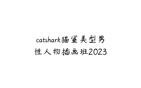 catshark猫鲨美型男性人物插画班2023百度网盘下载