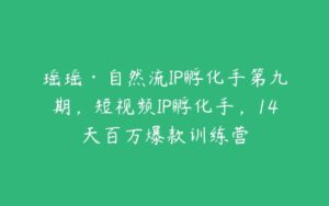 瑶瑶·自然流IP孵化手第九期，短视频IP孵化手，14天百万爆款训练营-51自学联盟