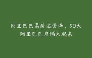 阿里巴巴高级运营课，9O天阿里巴巴店铺火起来-51自学联盟