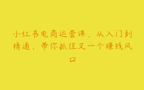 小红书电商运营课，从入门到精通，带你抓住又一个赚钱风口百度网盘下载