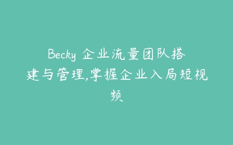 Becky・企业流量团队搭建与管理,掌握企业入局短视频百度网盘下载