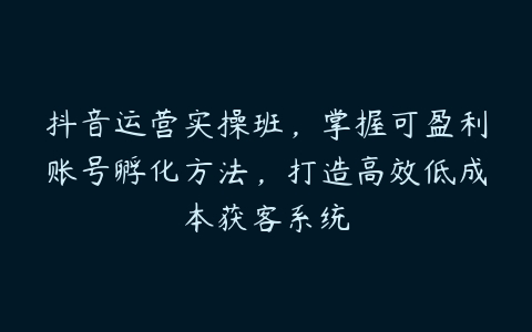 图片[1]-抖音运营实操班，掌握可盈利账号孵化方法，打造高效低成本获客系统-本文