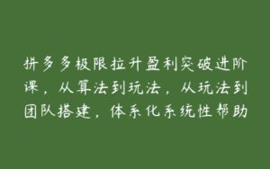 拼多多极限拉升盈利突破进阶课，从算法到玩法，从玩法到团队搭建，体系化系统性帮助商家实现利润提升-51自学联盟