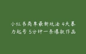 小红书商单最新玩法 4天暴力起号 5分钟一条爆款作品-51自学联盟