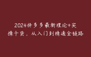 2024拼多多最新理论+实操干货，从入门到精通全链路-51自学联盟