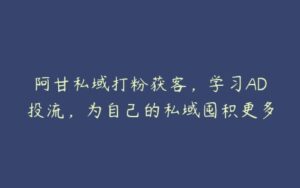 阿甘私域打粉获客，学习AD投流，为自己的私域囤积更多-51自学联盟