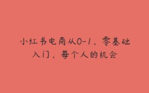 小红书电商从0-1，零基础入门，每个人的机会-51自学联盟