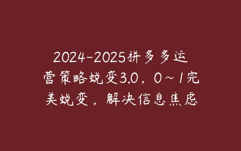 2024-2025拼多多运营策略蜕变3.0，0~1完美蜕变，解决信息焦虑百度网盘下载