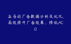 亚马逊广告数据分析及优化,高效提升广告效果，降低ACO-51自学联盟