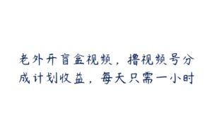 老外开盲盒视频，撸视频号分成计划收益，每天只需一小时-51自学联盟