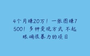 4个月赚20万！一张图赚7500！多种变现方式 不起眼确很暴力的项目-51自学联盟