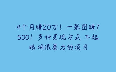 4个月赚20万！一张图赚7500！多种变现方式 不起眼确很暴力的项目百度网盘下载