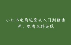 小红书电商运营从入门到精通课，电商店群实战-51自学联盟