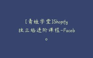 [青蛙学堂]Shopify独立站进阶课程-Facebo-51自学联盟