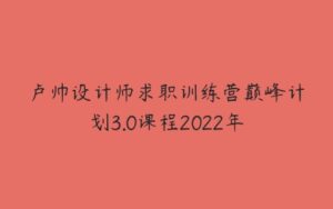 卢帅设计师求职训练营巅峰计划3.0课程2022年-51自学联盟