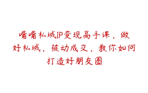 嘴嘴私域IP变现高手课，做好私域，被动成交，教你如何打造好朋友圈百度网盘下载