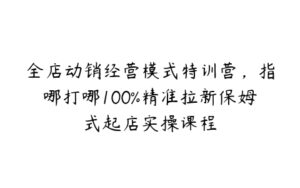 全店动销经营模式特训营，指哪打哪100%精准拉新保姆式起店实操课程-51自学联盟