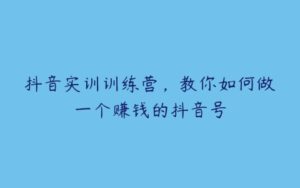 抖音实训训练营，教你如何做一个赚钱的抖音号-51自学联盟