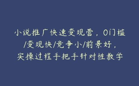 小说推广快速变现营，0门槛/变现快/竞争小/前景好，实操过程手把手针对性教学百度网盘下载