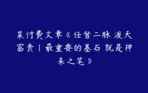 某付费文章《任督二脉 泼天富贵|最重要的基石 就是神来之笔》-51自学联盟