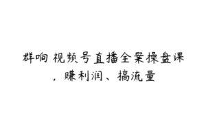 群响・视频号直播全案操盘课，赚利润、搞流量-51自学联盟