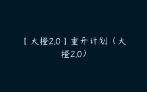 【大橙2.0】重开计划（大橙2.0）-51自学联盟