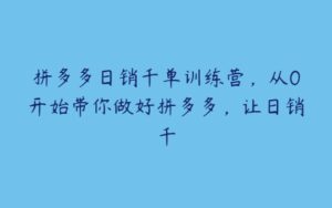 拼多多日销千单训练营，从0开始带你做好拼多多，让日销千-51自学联盟