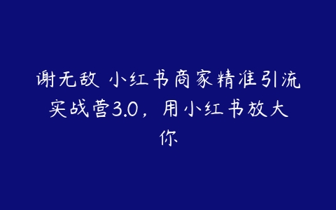 谢无敌・小红书商家精准引流实战营3.0，用小红书放大你百度网盘下载