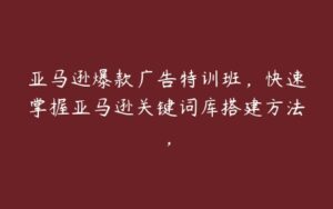 亚马逊爆款广告特训班，快速掌握亚马逊关键词库搭建方法，-51自学联盟