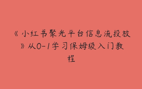 《小红书聚光平台信息流投放》从0-1学习保姆级入门教程百度网盘下载