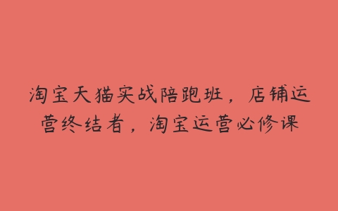 淘宝天猫实战陪跑班，店铺运营终结者，淘宝运营必修课百度网盘下载