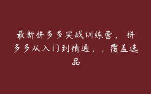 最新拼多多实战训练营， 拼多多从入门到精通，，覆盖选品-51自学联盟