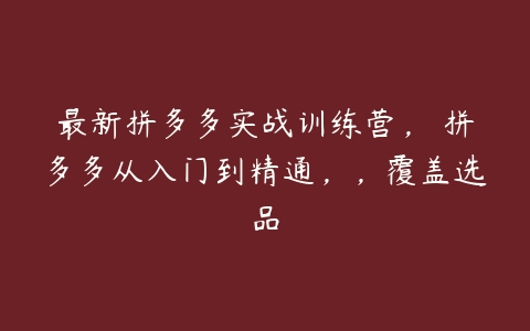 最新拼多多实战训练营， 拼多多从入门到精通，，覆盖选品百度网盘下载