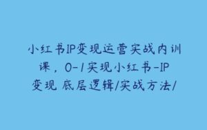 小红书IP变现运营实战内训课，0-1实现小红书-IP变现 底层逻辑/实战方法/训练结合-51自学联盟