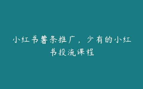 小红书薯条推广，少有的小红书投流课程百度网盘下载