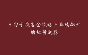 《勾子获客全攻略》业绩飙升的秘密武器-51自学联盟