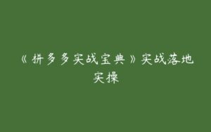 《拼多多实战宝典》实战落地实操-51自学联盟