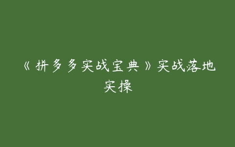 《拼多多实战宝典》实战落地实操百度网盘下载