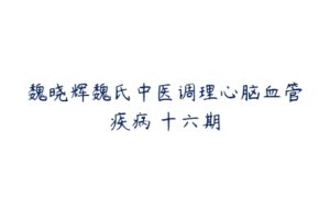 魏晓辉魏氏中医调理心脑血管疾病 十六期-51自学联盟