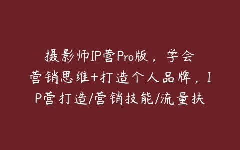 摄影师IP营Pro版，学会营销思维+打造个人品牌，IP营打造/营销技能/流量扶持/合作内推-51自学联盟