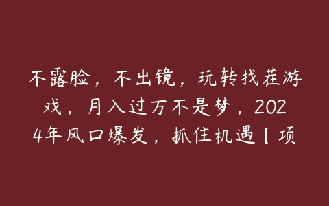 不露脸，不出镜，玩转找茬游戏，月入过万不是梦，2024年风口爆发，抓住机遇【项目揭秘】百度网盘下载