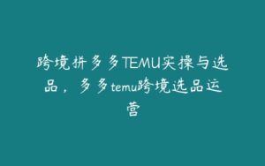 跨境拼多多TEMU实操与选品，多多temu跨境选品运营-51自学联盟