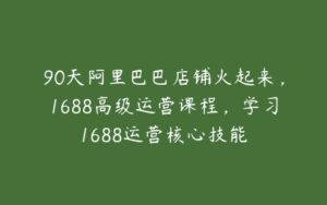 90天阿里巴巴店铺火起来，1688高级运营课程，学习1688运营核心技能-51自学联盟