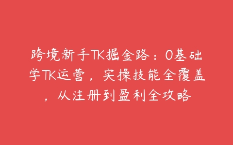 图片[1]-跨境新手TK掘金路：0基础学TK运营，实操技能全覆盖，从注册到盈利全攻略-本文