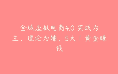 全域虚拟电商4.0 实战为主，理论为辅，5大「黄金赚钱-51自学联盟