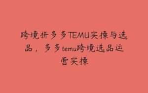 跨境拼多多TEMU实操与选品，多多temu跨境选品运营实操-51自学联盟